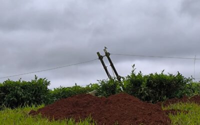 ENERGÍA – TEMPORAL