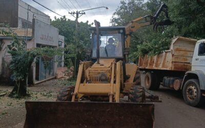 OPERATIVO CONJUNTO DE PODA Y LIMPIEZA EN CALLE MARIANO MORENO