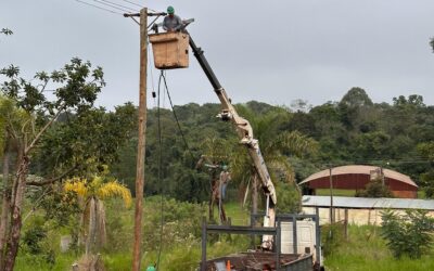 Se realizaron tareas de mantenimiento y modificación en línea de Baja Tensión Trifásica en la zona del Ex KM 1208.
